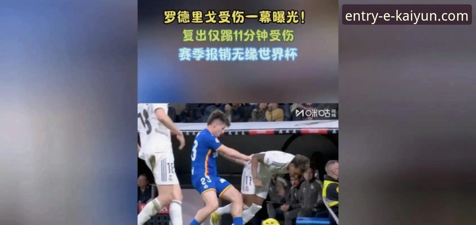 阿根廷新星重伤无缘世界杯：一次战术缺失与平台信息深度的全面评测